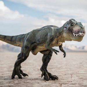 50 States Quiz Tyrannosaurus rex