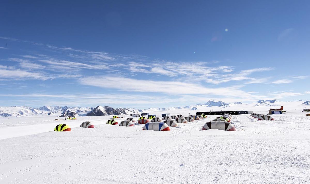 Spirit Animal Travel Quiz Camp in Antarctica