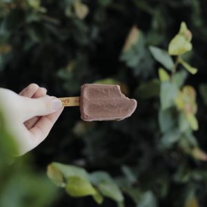 Chocolate Wellness Quiz Chocolate popsicle