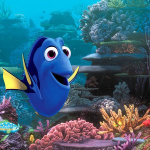 Male Animated Archetype Quiz Finding Dory