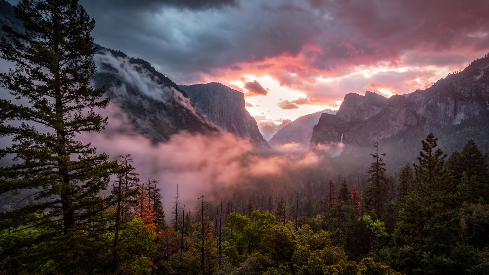 Jurassic World Quiz Misty Yosemite fog