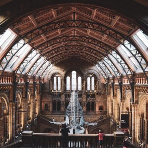 Plan a Trip to London If You Want to Know When You’ll Meet Your Soulmate ❤️ Natural History Museum, London