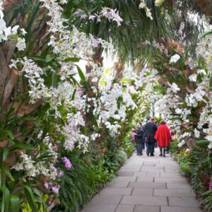 NYC Trip Planning Quiz 🗽: Can We Guess Your Age? New York Botanical Garden