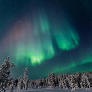 Spirit Animal Travel Quiz Aurora Borealis in Lapland (Finland)