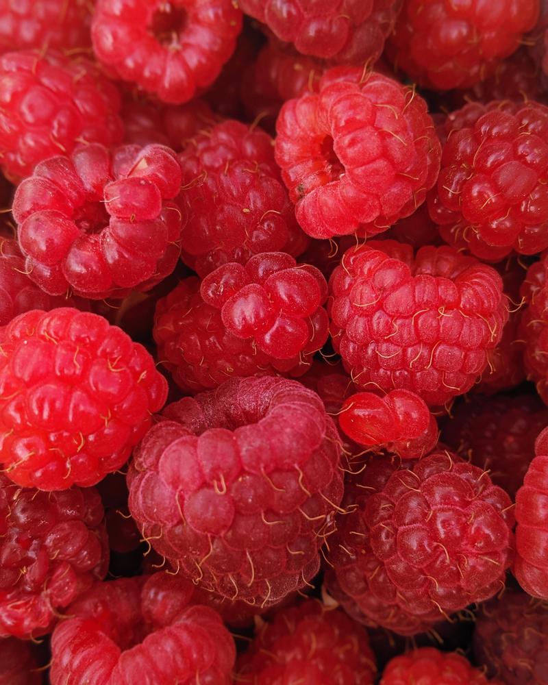 Love Match Quiz: What Type Of Partner Fascinates You Most? ❤️ Raspberries
