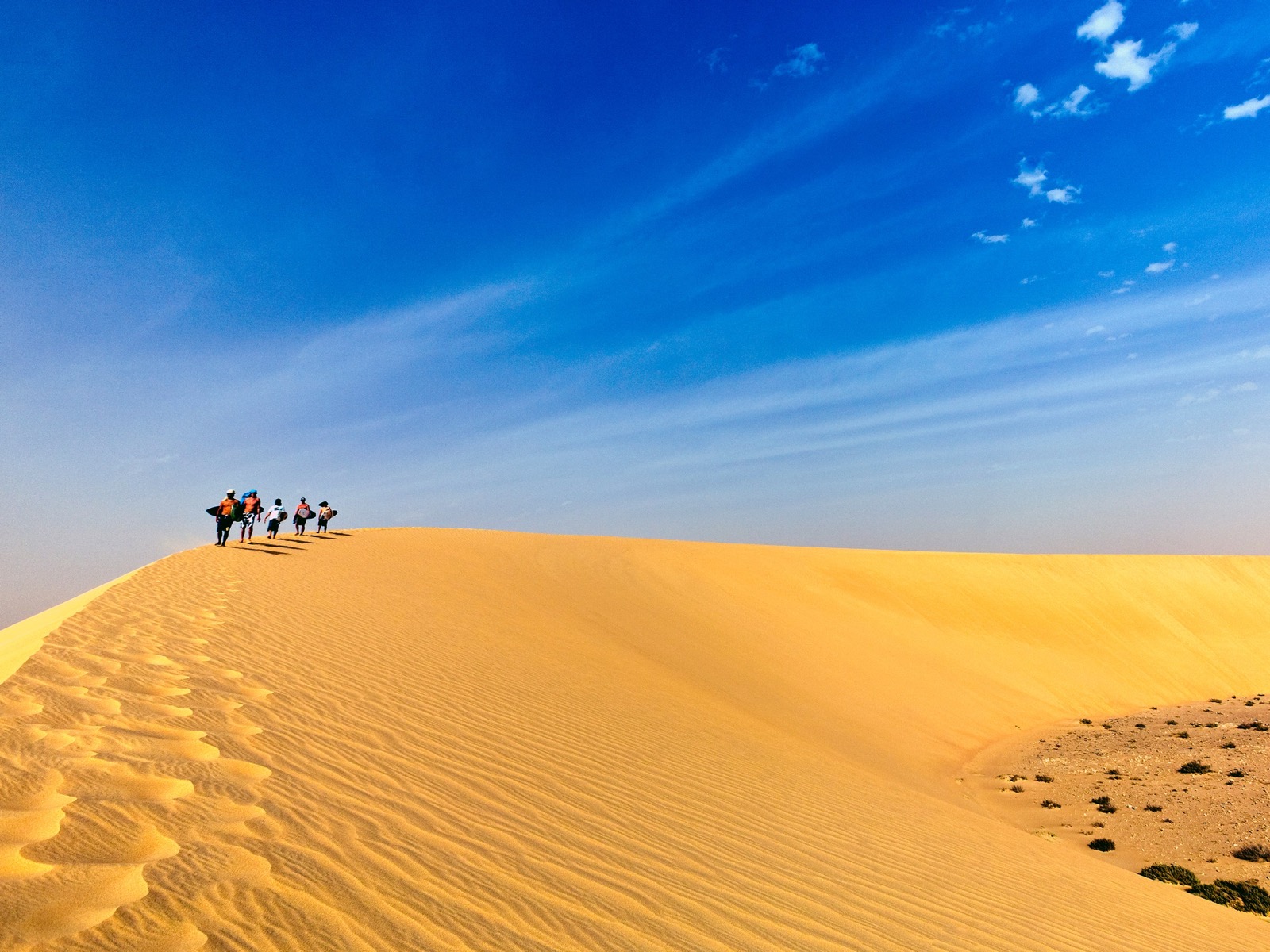 Spirit Animal Travel Quiz Sand surf in the Sahara