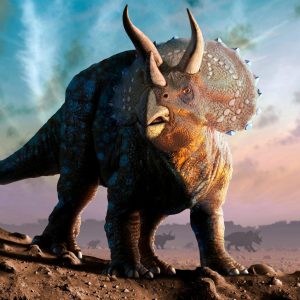 50 States Quiz Triceratops