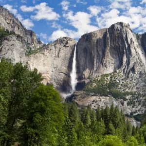 Spirit Animal Travel Quiz Yosemite National Park